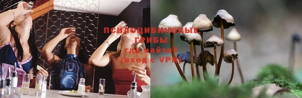 прущие крисы Богданович
