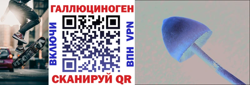 Псилоцибиновые грибы Psilocybine cubensis  Наро-Фоминск 