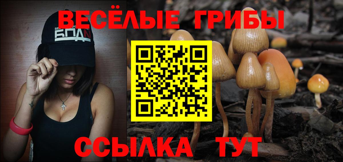 Наро-Фоминск  Галлюциногенные грибы Magic Shrooms  магазин    Вход с VPN 
